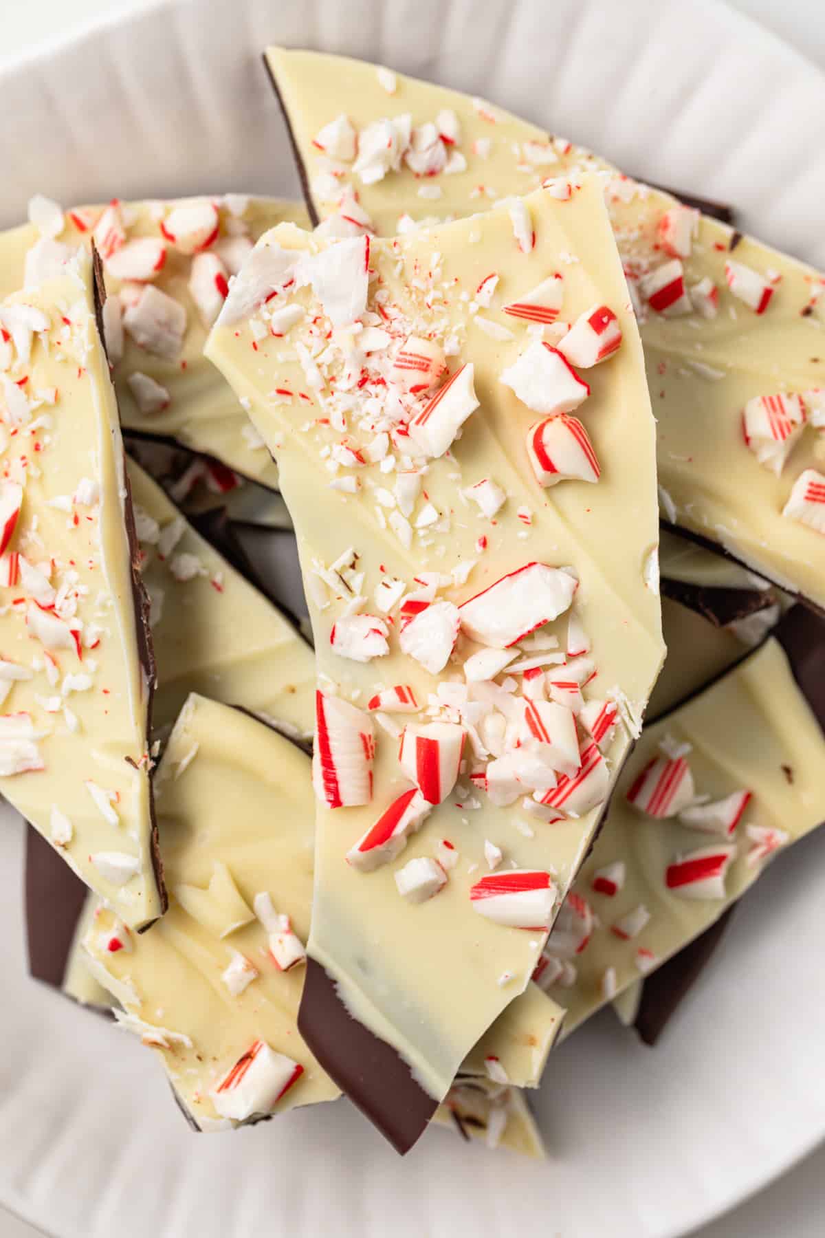 Close up of peppermint bark.