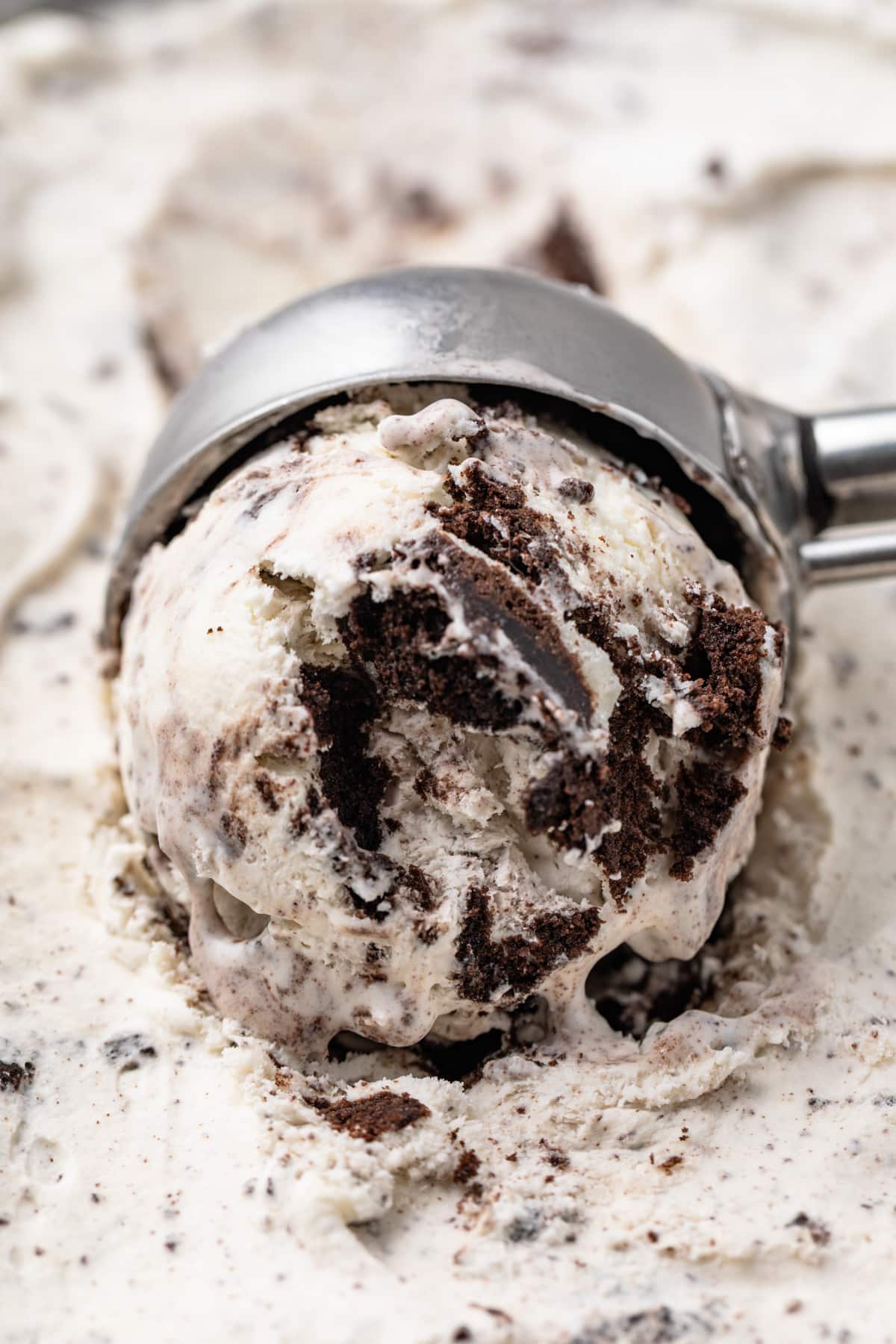 Close up of oreo ice cream in a scoop.