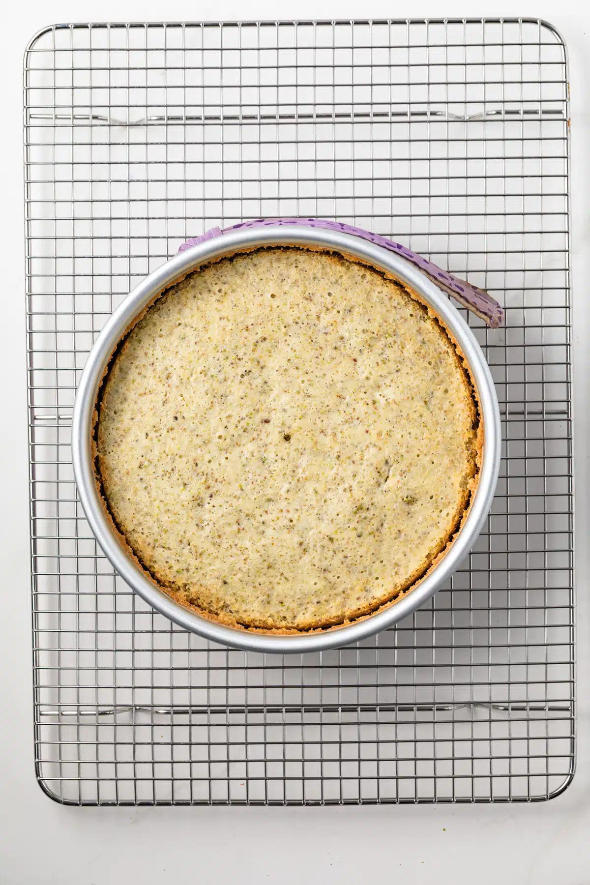 Baked cake in round cake pan.